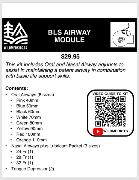 BLS Airway Module