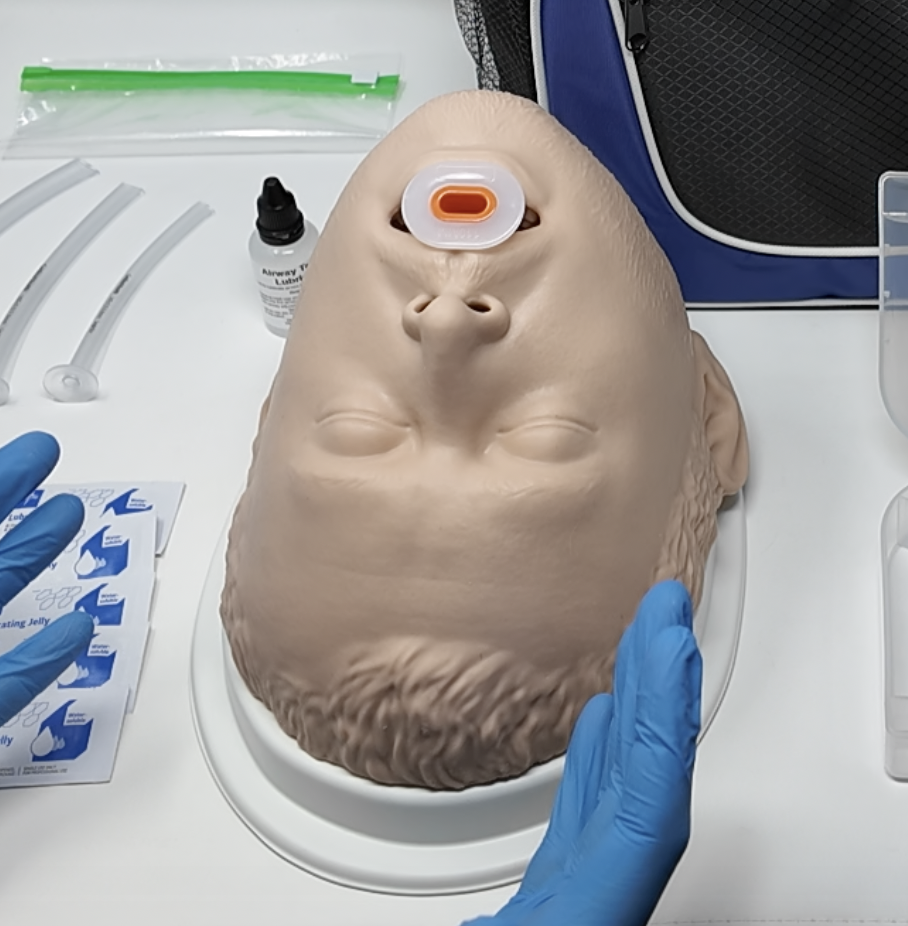 BLS Airway Task Trainer Kit – wildmedkits