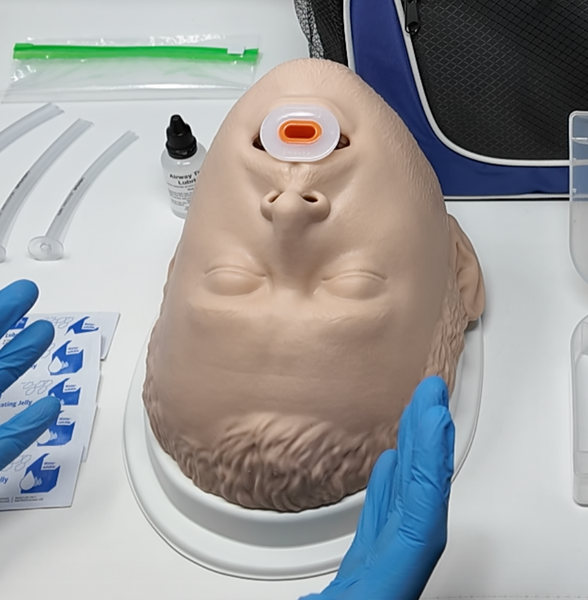 BLS Airway Task Trainer Kit
