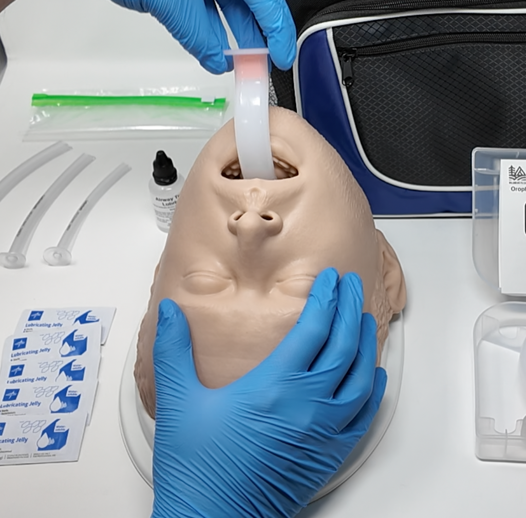 BLS Airway Task Trainer Kit – wildmedkits