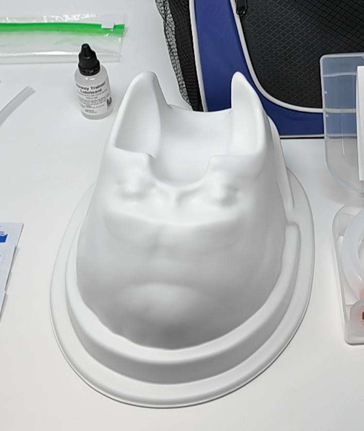 BLS Airway Task Trainer Kit – wildmedkits