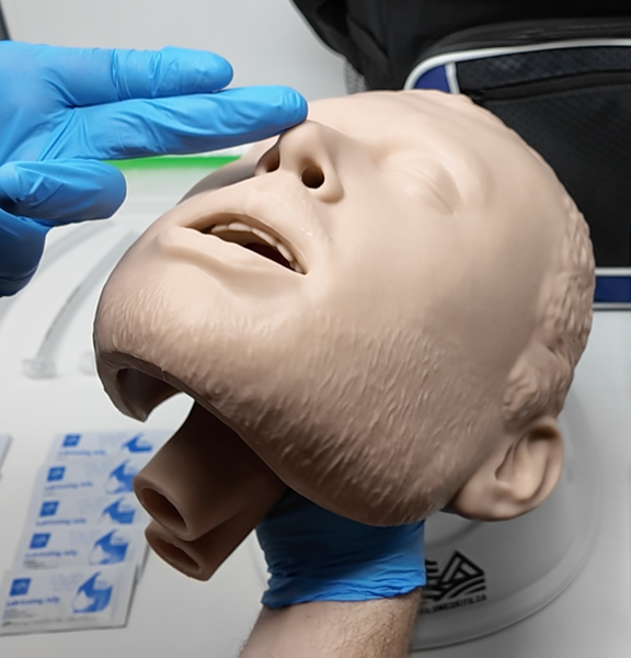 BLS Airway Task Trainer Kit