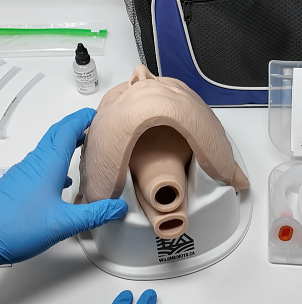 BLS Airway Task Trainer Kit
