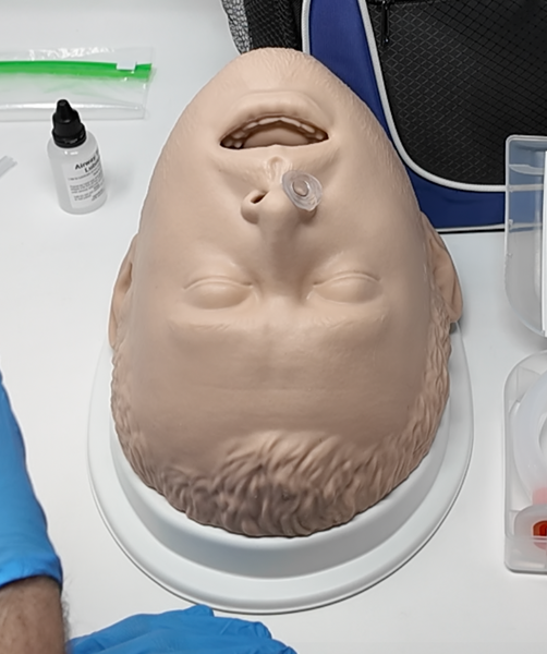BLS Airway Task Trainer Kit