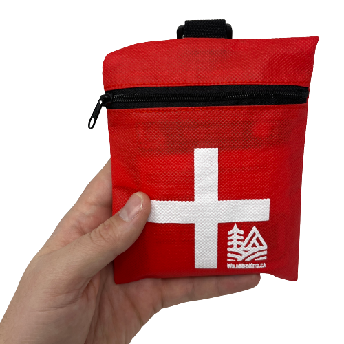 Ouch Pouch: Minor First Aid Kit