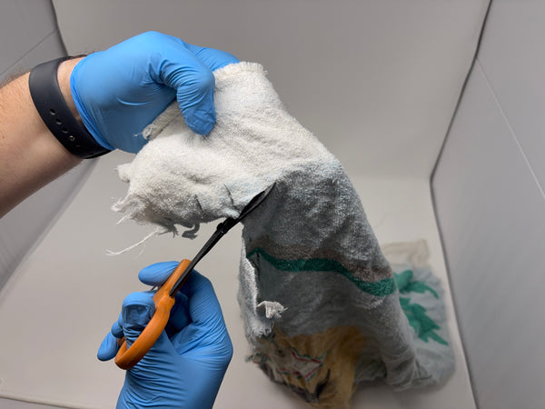 Premium Trauma Shears 7.5" Coated