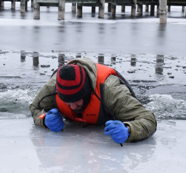 Ice Self Rescue Picks