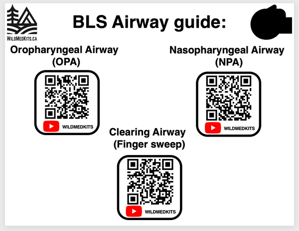 BLS Airway Task Trainer Kit