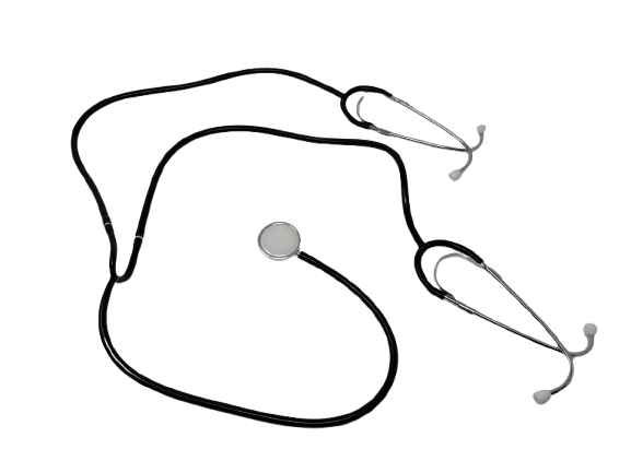 Training Stethoscope:
