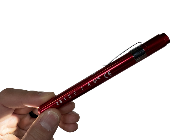 Penlight LED: Reusable Aluminum body AAA