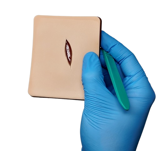 Wound Cleaning Task Trainer: NEW 2026