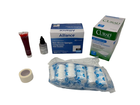 Wound Cleaning Task Trainer: NEW 2026