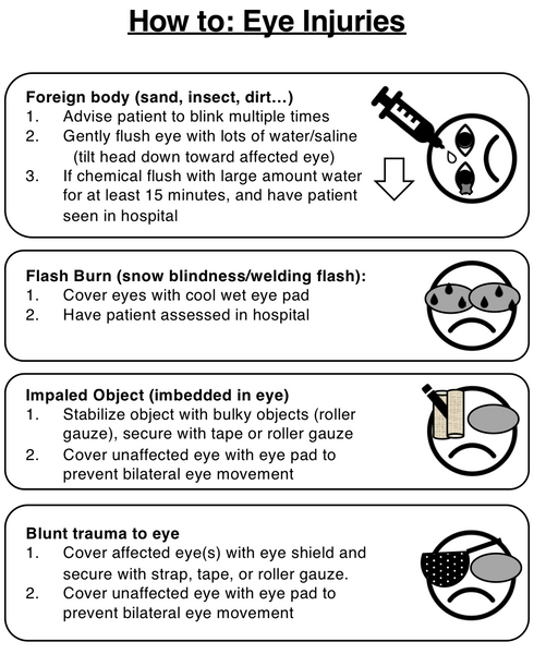 Eye Injury Module